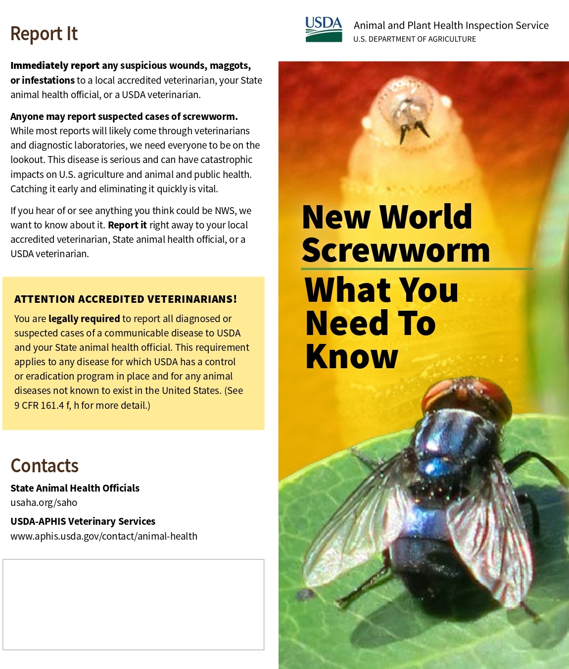 Florida Disaster Preparedness Guide